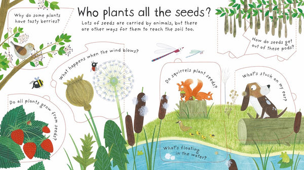 First Questions and Answers: How Do Flowers Grow?