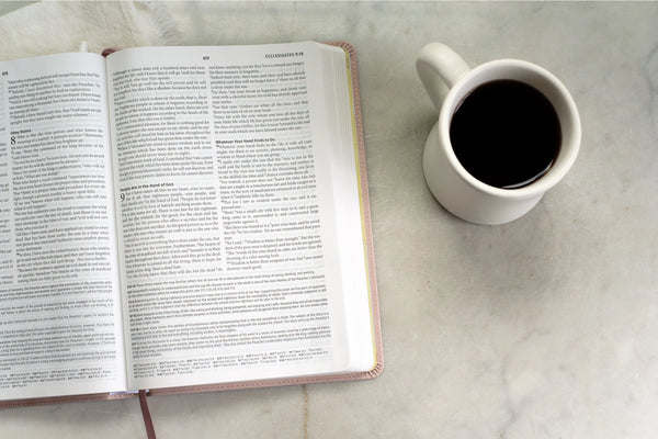 Light For Life Nasb Study Bible (Blush Bouquet)