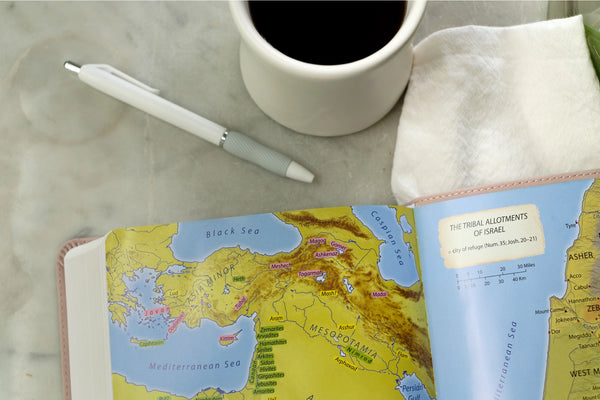 Light For Life Nasb Study Bible (Blush Bouquet)