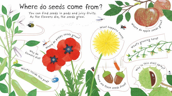 First Questions and Answers: How Do Flowers Grow?