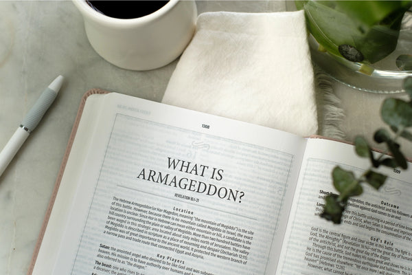 Light For Life Nasb Study Bible (Blush Bouquet)