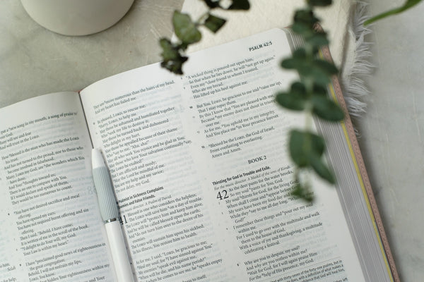 Light For Life Nasb Study Bible (Blush Bouquet)