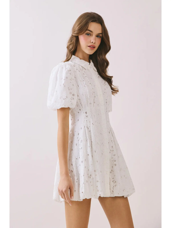 Eyelet Collared Neck Hidden Front Button Dress