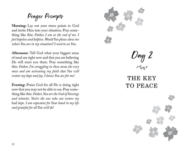 The 30-Day Stress Detox Devotional