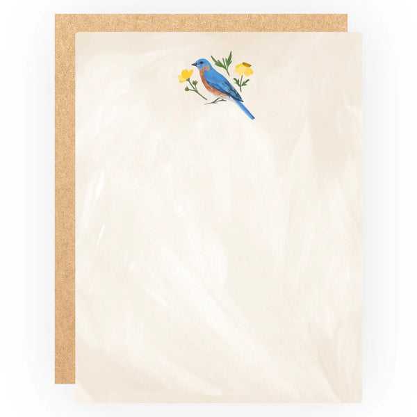 Feathered Friends Birds Flat Note Set