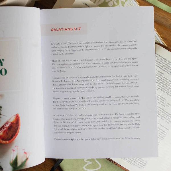 The Fruit of the Spirit Bible Study