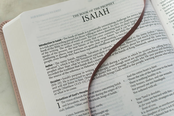 Light For Life Nasb Study Bible (Blush Bouquet)