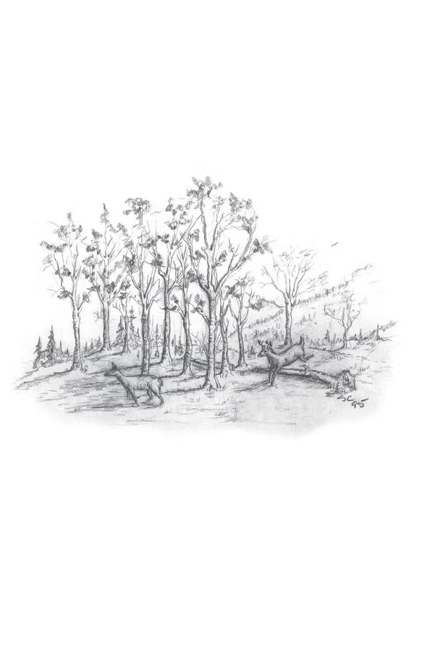 A Look At Life from A Deer Stand Deluxe Ed. Book - Outdoors