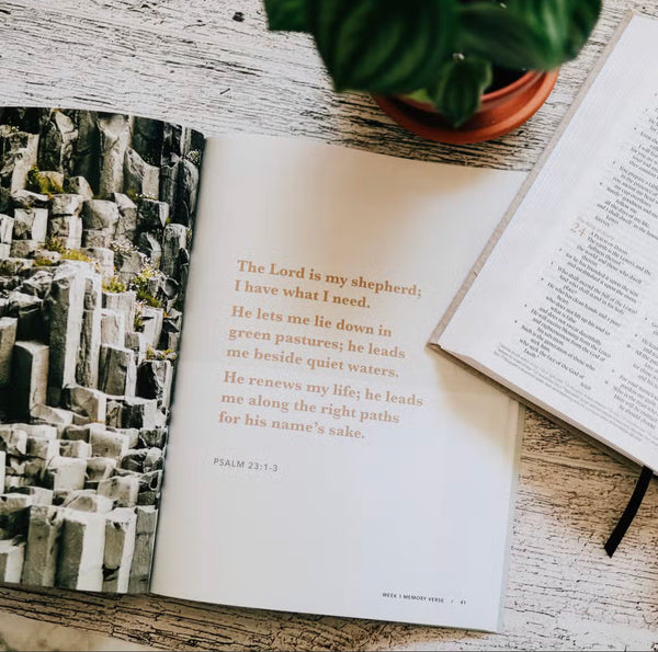 He Leads Me | Psalm 23 - Men