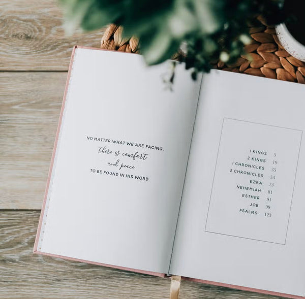 the Story of Redemption Journal V2