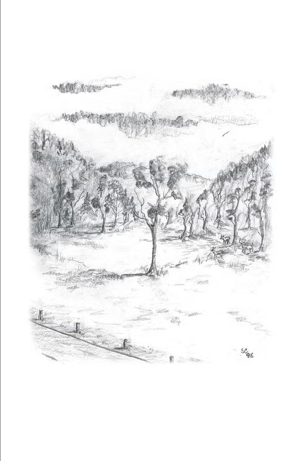 A Look At Life from A Deer Stand Deluxe Ed. Book - Outdoors