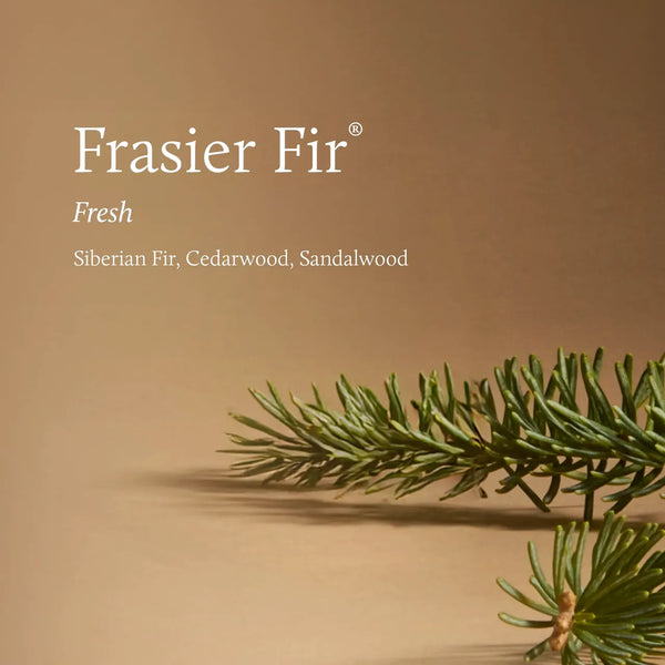 Frasier Fir® Tidings 6.5 oz Poured Candle