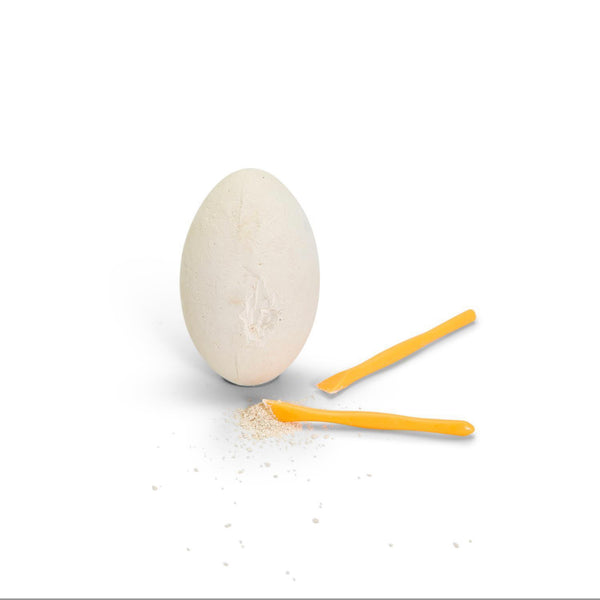 DEEP SEA SHARK FOSSIL KIT IN GIFT BOX