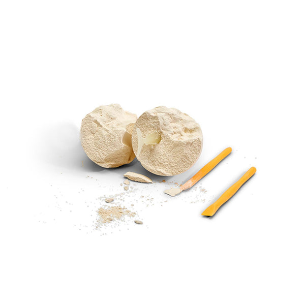 DEEP SEA SHARK FOSSIL KIT IN GIFT BOX