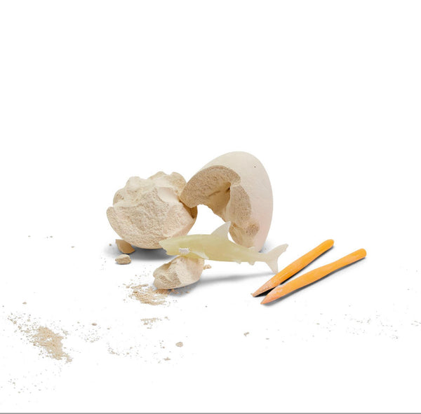 DEEP SEA SHARK FOSSIL KIT IN GIFT BOX