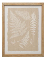 Wood Framed Wall Décor with Fern Fronds