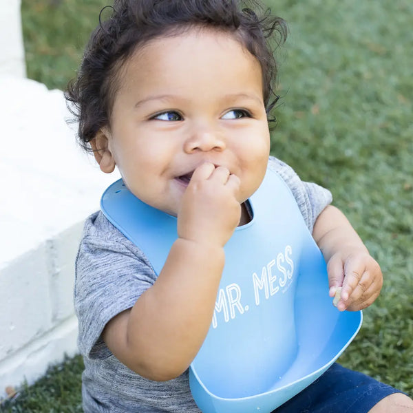 Mr Mess Wonder Bib