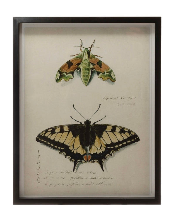 Wood Framed Wall Decor with Insects, 3 Styles
