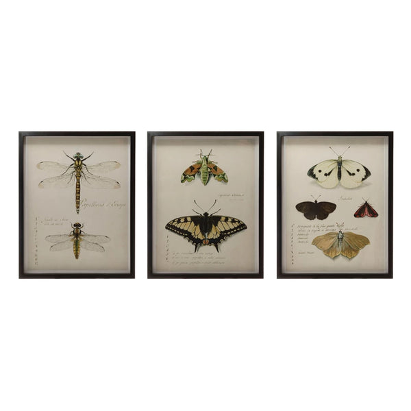 Wood Framed Wall Decor with Insects, 3 Styles