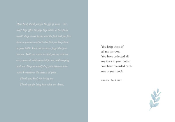 Sacred Tears, Book - Comfort