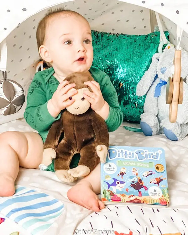 Ditty Bird Book:Animal songs including Baby Shark