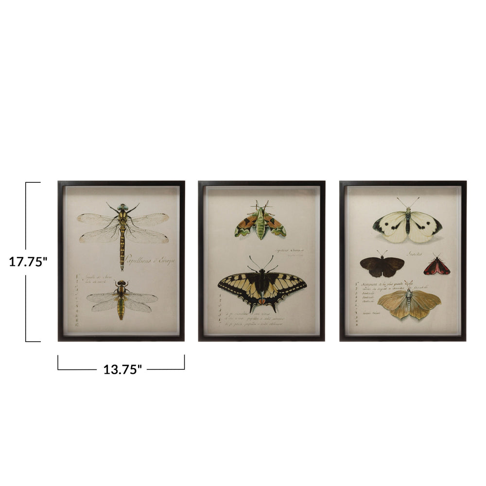 Wood Framed Wall Decor with Insects, 3 Styles