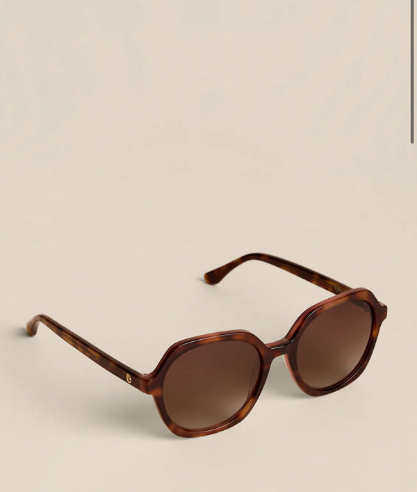 Calibogue Sunglasses Tortoise/Rosé
