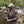 Green Heather Wander Quarter-Zip