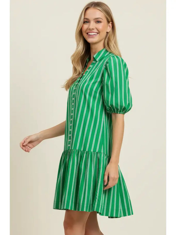 Stripe Green Puffed Sleeve Mini Dress