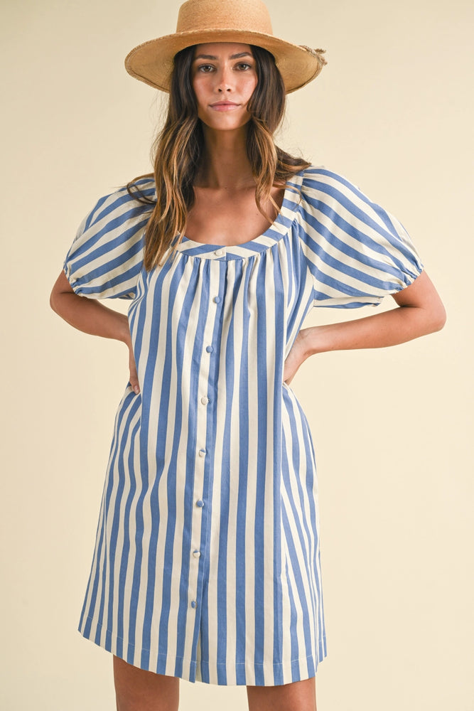 Stripe Denim Button Down Mini Dress