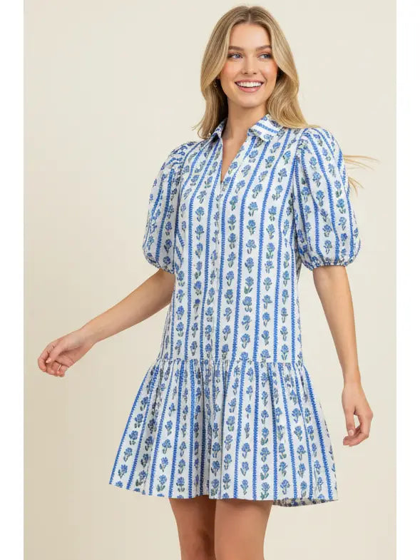 Blue Floral Stripe Puffed Sleeve Mini Dress