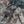 Youth Athletic Short - Classic Deer Camo