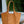 Emory Whipstitch Tote Mustard S