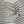 Ecru Stripe Long Sleeve Sweater w Round Neckline