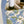 Double Wine Caddy Japonica Bird Green