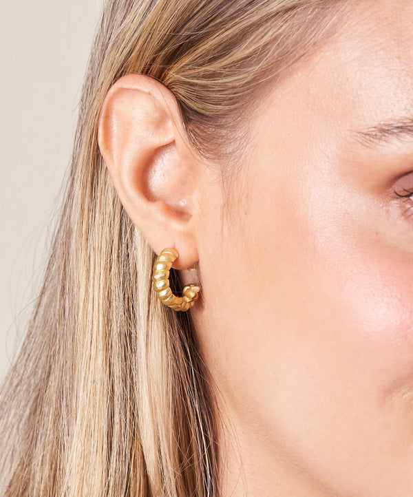 Classic Hoop Earring Set Gold