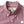 Performance Poplin Sport Shirt
Coker Plaid Red