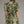 Olive Floral print Mini Dress Featuring Self-Tie Waist at Back