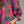 Magenta Printed Puff Sleeve Mini Dress w Ruffled Mock Neck
