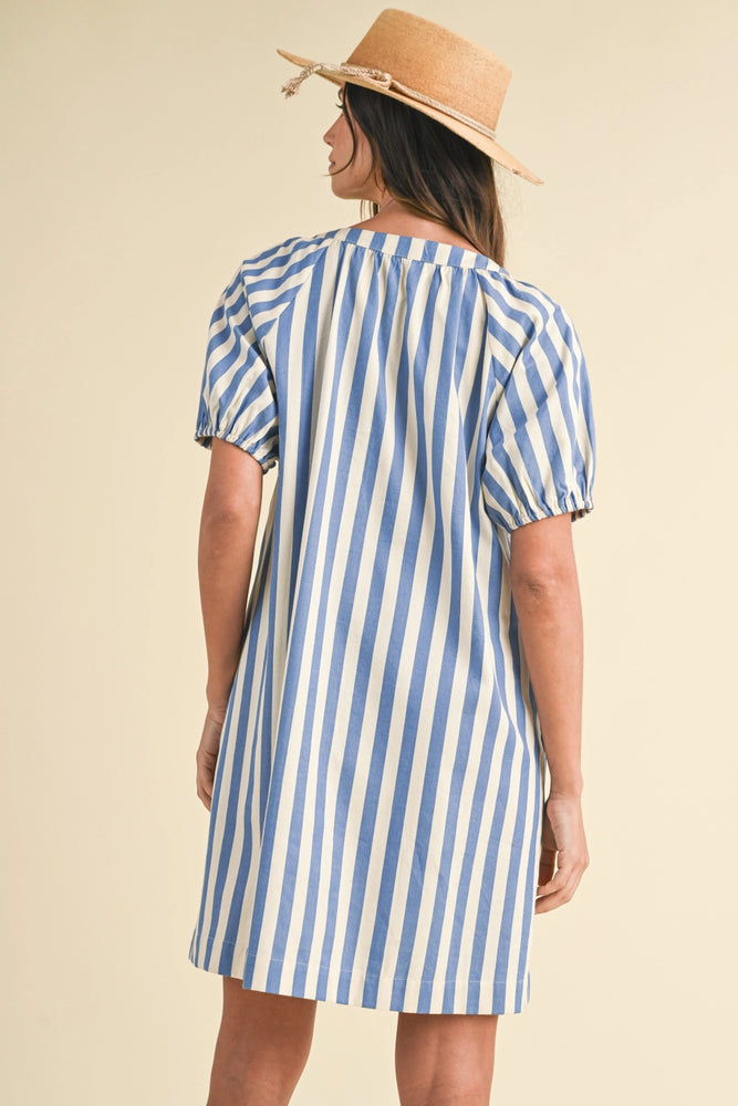 Stripe Denim Button Down Mini Dress