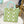 Petite Frond Green Lunch Bag