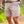 Everyday Short - Cobblestone Khaki - Duck Hunt Pocket