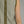 Olive Stripe Sleeveless Round-Neck Top w Contrast Trim