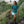 Women's Elevate Lightweight Tee - Sea Pine