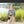 Claudette Blouse Japonica Bird Green