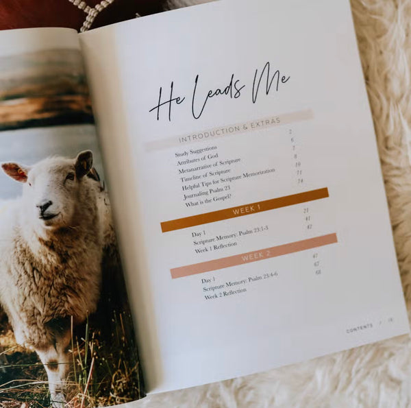 He Leads Me | Psalm 23