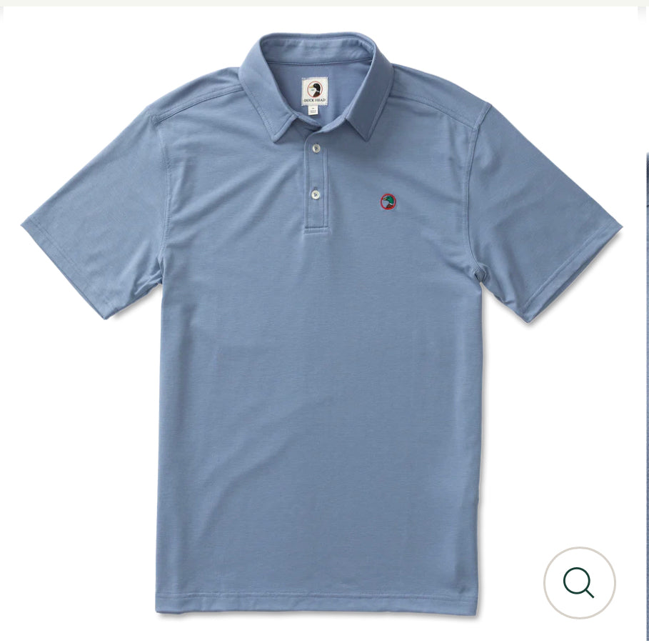 Hayes Performance Logo Polo - Tempest Blue