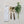 Stainless Steel Salad Servers with Resin Handles