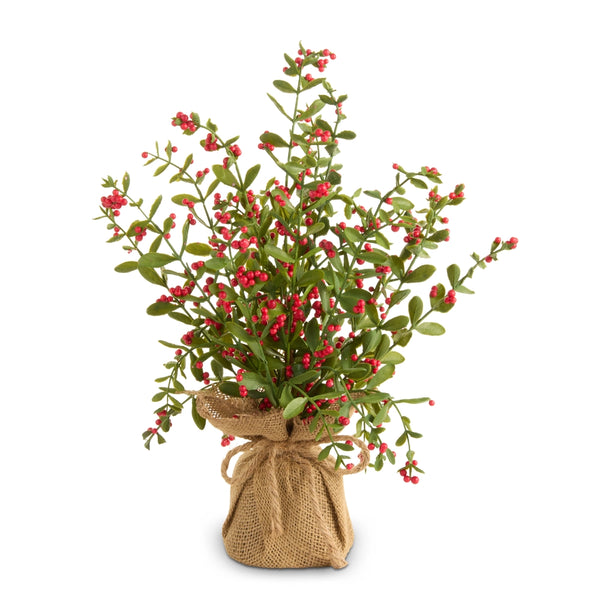 Red Berry Tree In Burlap Bag