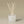 Frasier Fir® Tidings Petite Reed Diffuser